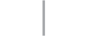 LU LĪBIEŠU INSTITŪTS
